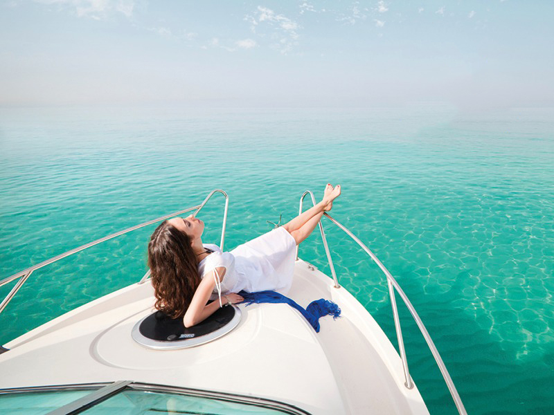 Portfólio/ <br> Catálogos Técnicos